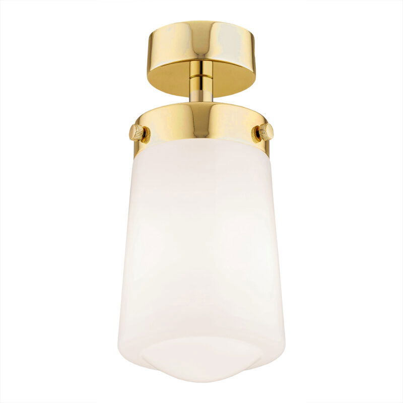 Adena Ceiling Spot 1 Light