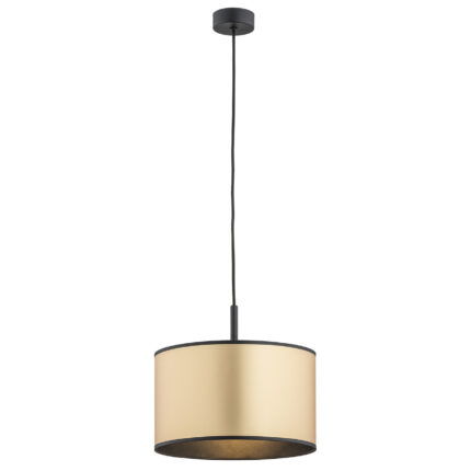 Full view on a white background of a single black pendant light with gold lampshade.
