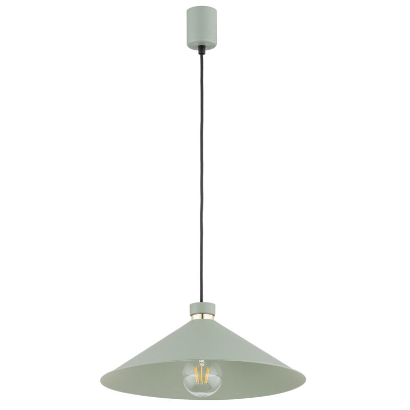 Ashvill Pendant Lamp 1 Light Image 2