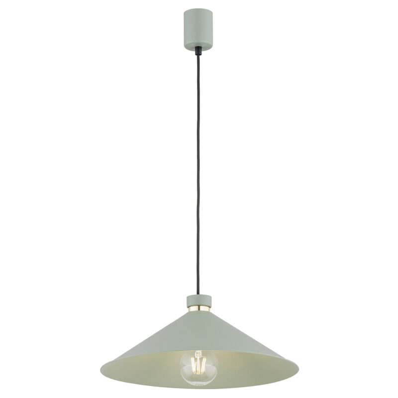 Ashvill Pendant Lamp 1 Light