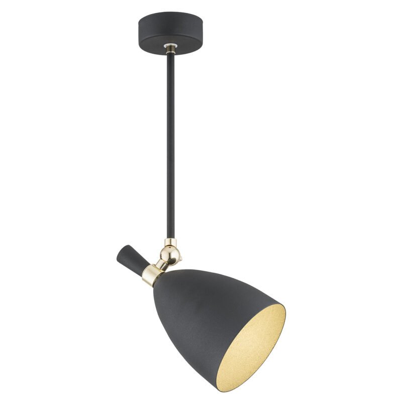 Harlot pendant light with black bell shade and brass adjustable arm.