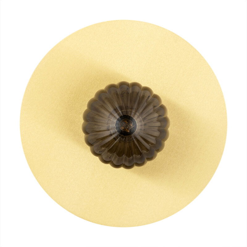 Front view of circular wall light with brass frame and unlit smoked glass shade.