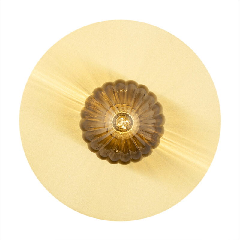 Front view of illuminated circular wall light with brass frame and smoked glass shade.