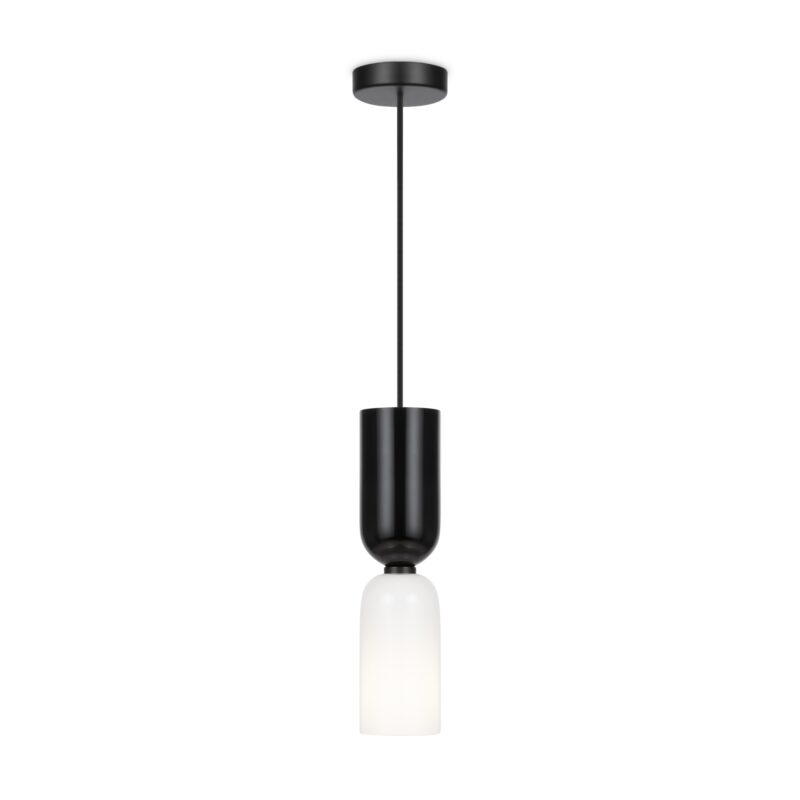 Memory Black Pendant luminaire , Metal