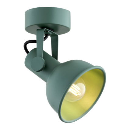 Green single spotlight with adjustable head on round base for ceiling or wall mounting.