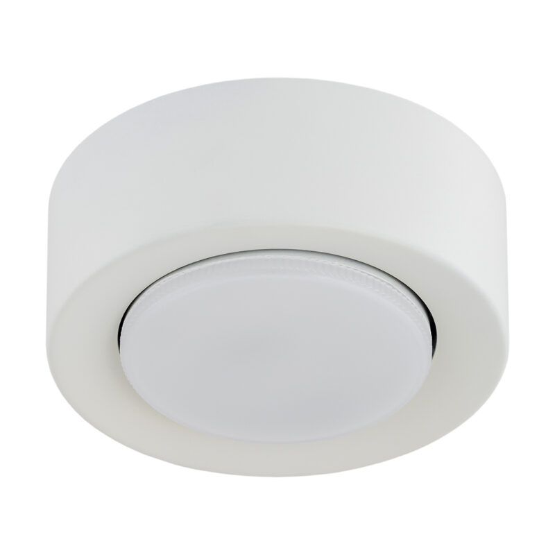 Olyra  Ceiling Lamp, 1-Light, Lacquered Steel Image 3