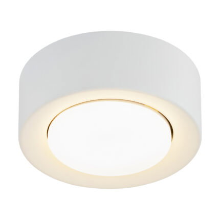 Olyra  Ceiling Lamp, 1-Light, Lacquered Steel