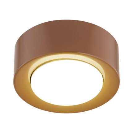 Olyra  Ceiling Lamp, 1-Light, Lacquered Steel