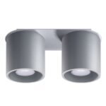 Orbital Double Cylinder Surface Mounted Downlight, Grey Metal, 26cm Length