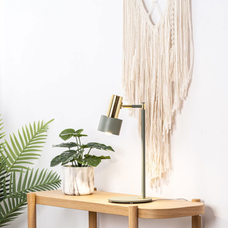 Oria table lamp styled on wooden console with plants and books in home setting.