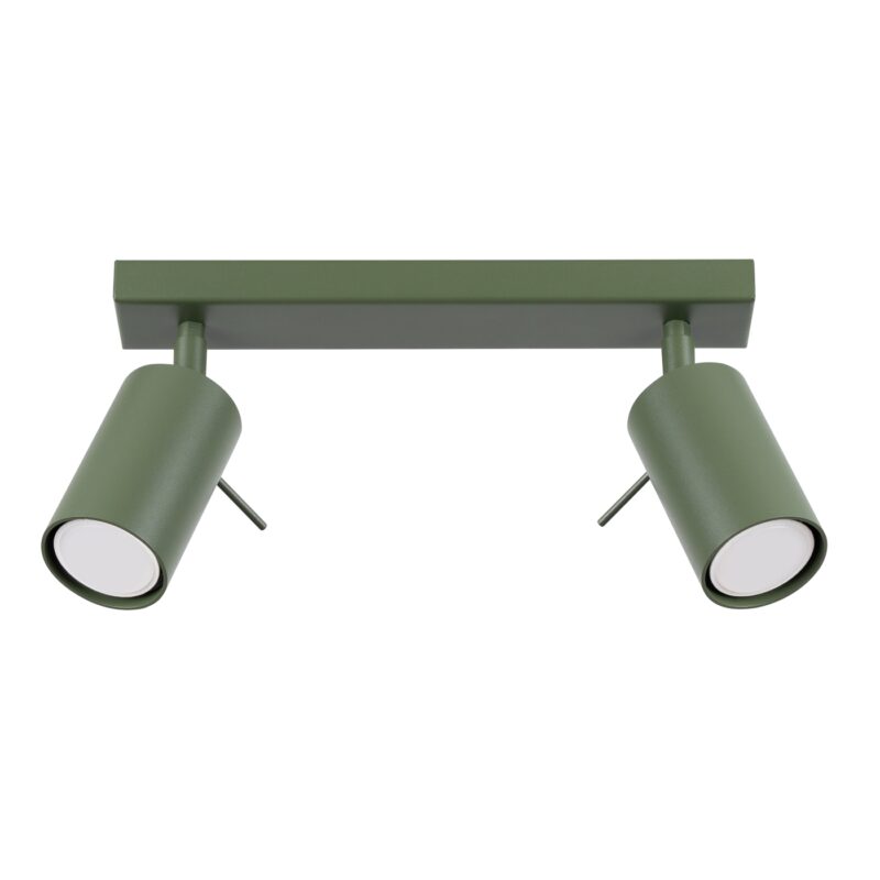 Ring Ceiling lamp 2 olive green