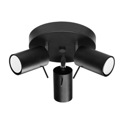 Ring Ceiling lamp 3P black