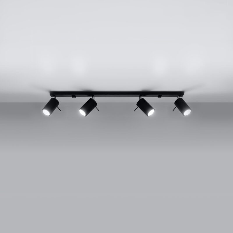 Ring Ceiling lamp 4L black Image 2