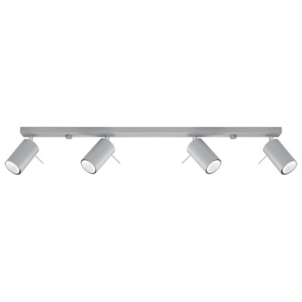 Ring Ceiling lamp 4L grey