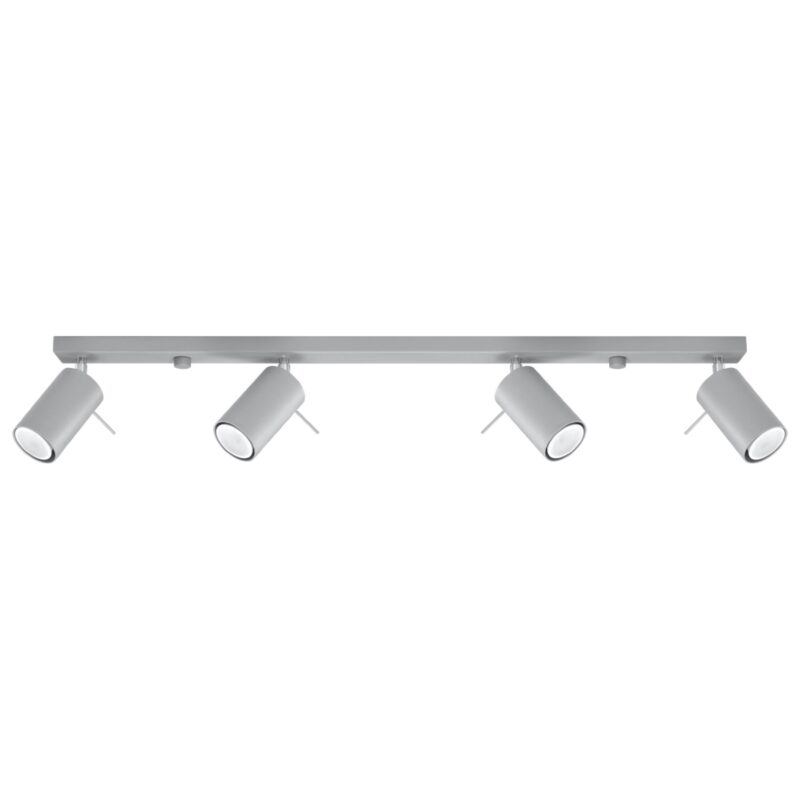 Ring Ceiling lamp 4L grey