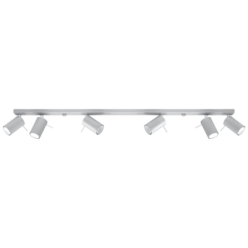 Ring Ceiling lamp 6L grey