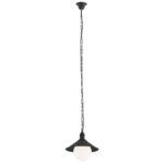 Terba Outdoor Pendant Light, 1 Light, Black, IP44, 29cm