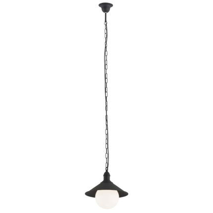 Terba outdoor pendant light with black metal shade and opal glass globe.